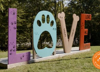 meet-the-cats-and-dogs-your-cvc-donation-supports-|-uva-today