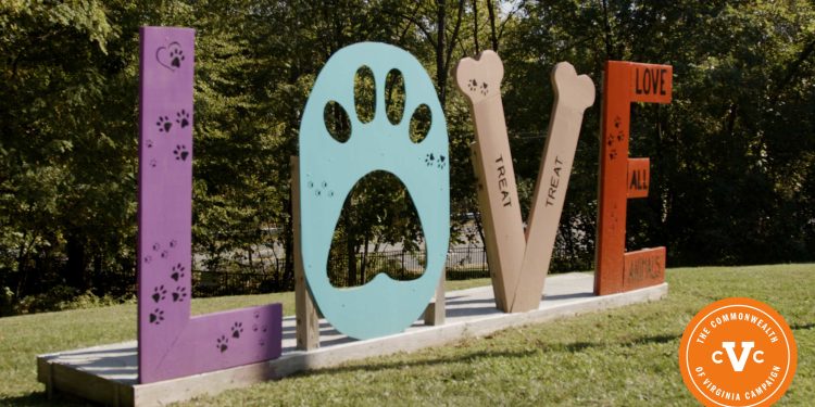 meet-the-cats-and-dogs-your-cvc-donation-supports-|-uva-today