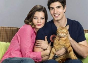 the-first-trailer-for-'the-nine-kittens-of-christmas'-has-been-released-by-hallmark.-|-nokia-news