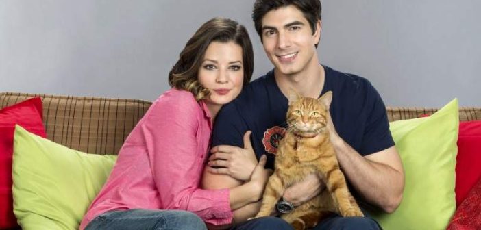 the-first-trailer-for-'the-nine-kittens-of-christmas'-has-been-released-by-hallmark.-|-nokia-news