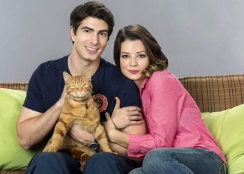 hallmark-releases-first-trailer-for-'the-nine-kittens-of-christmas'-–-heavy.com