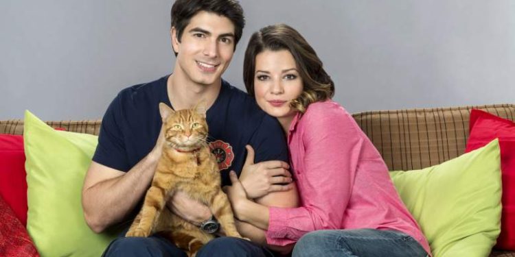 hallmark-releases-first-trailer-for-'the-nine-kittens-of-christmas'-–-heavy.com