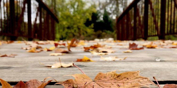 weather:-chilly-days-ahead,-some-precipitation-including-a-little-snow-in-the-forecast-|-ottawa-citizen