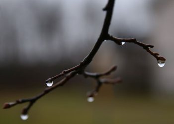 weather:-a-classic-november-day-and-gloomy-week-to-come;-high-5-c-sunday-|-ottawa-citizen