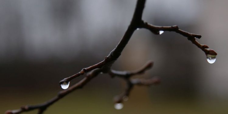 weather:-a-classic-november-day-and-gloomy-week-to-come;-high-5-c-sunday-|-ottawa-citizen