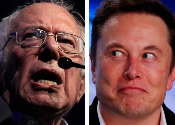elon-musk-snipes-at-bernie-sanders-on-twitter-|-financial-post