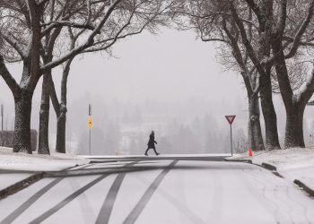 note-to-readers:-delivery-delayed-because-of-snowy-weather-|-edmonton-journal