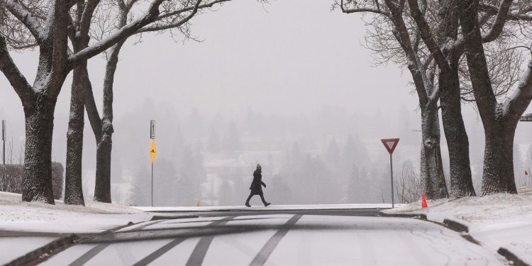 note-to-readers:-delivery-delayed-because-of-snowy-weather-|-edmonton-journal