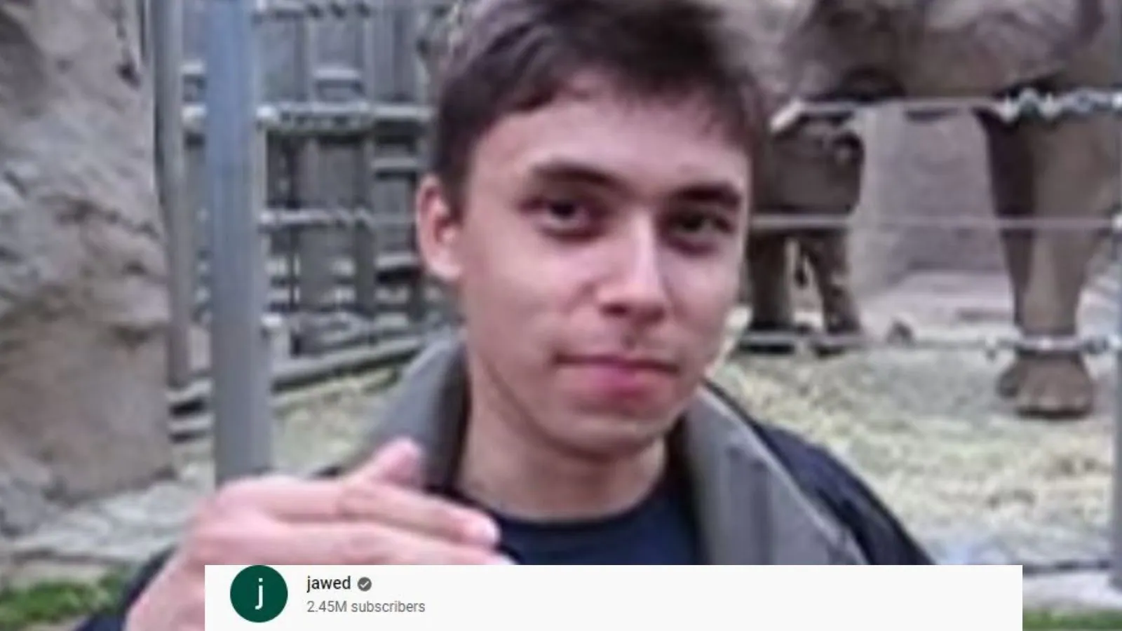 youtube-co-founder-protests-platform's-'dislike'-move-by-revisiting-first-ever-video-–-news18