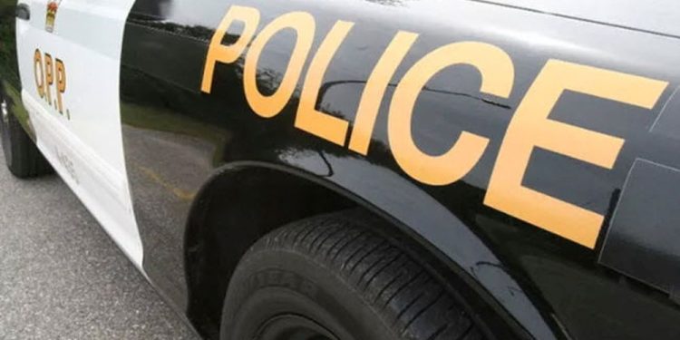two-23-year-old-men-killed-in-crash-on-calabogie-road:-opp-|-ottawa-citizen