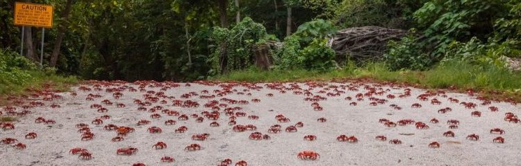 science-links-of-the-week-–-explorersweb-»