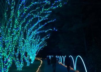 norfolk-botanical-garden-warns-of-fake-tickets-sold-on-facebook-for-million-bulb-walk-|-wavy.com