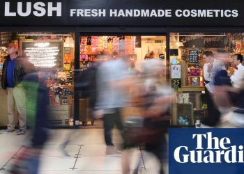 lush-quits-facebook,-instagram,-tiktok-and-snapchat-over-safety-concerns-–-the-guardian