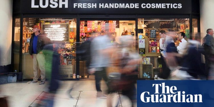 lush-quits-facebook,-instagram,-tiktok-and-snapchat-over-safety-concerns-–-the-guardian