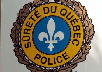 elderly-man-dies-after-his-car-lands-in-a-ditch-in-l'ile-d'orleans-|-montreal-gazette