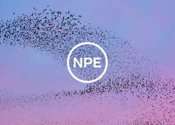 meta's-npe-team-takes-a-global-focus-with-seed-stage-investments,-offices-in-emerging-markets
