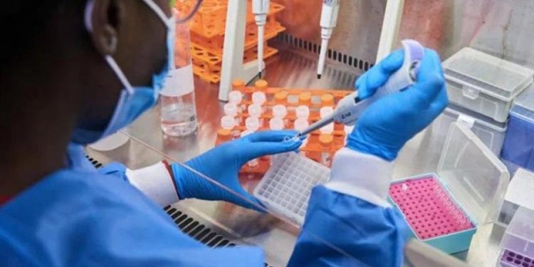 new-warning-on-omicron-variant-severity-from-south-african-scientists-–-deccan-chronicle