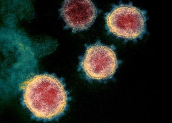 alberta-reports-349-new-cases-of-covid-19,-no-new-cases-of-omicron-variant-friday-…