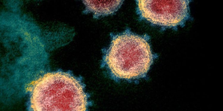 alberta-reports-349-new-cases-of-covid-19,-no-new-cases-of-omicron-variant-friday-…