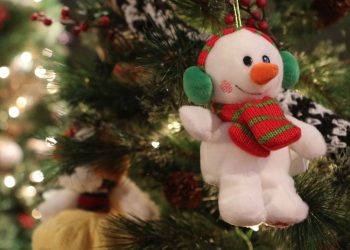 christmas-fund:-monique-can't-remember-what-life-was-like-before-she-got-sick-|-montreal-gazette