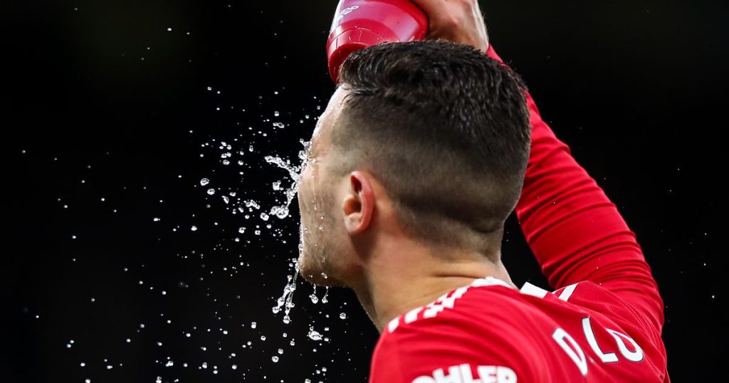manchester-united-fans-ambush-instagram-post-to-make-same-diogo-dalot-point-…