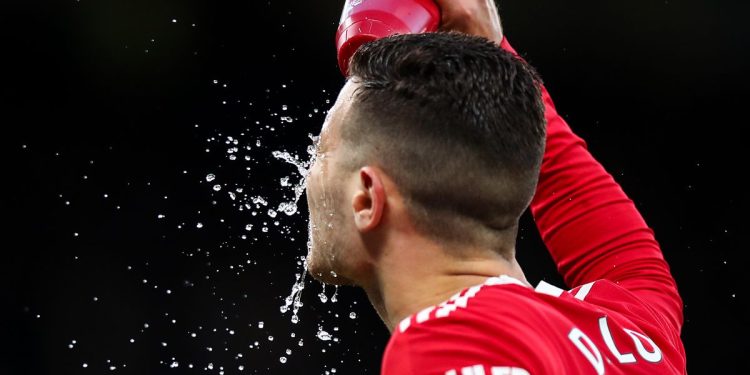 manchester-united-fans-ambush-instagram-post-to-make-same-diogo-dalot-point-…