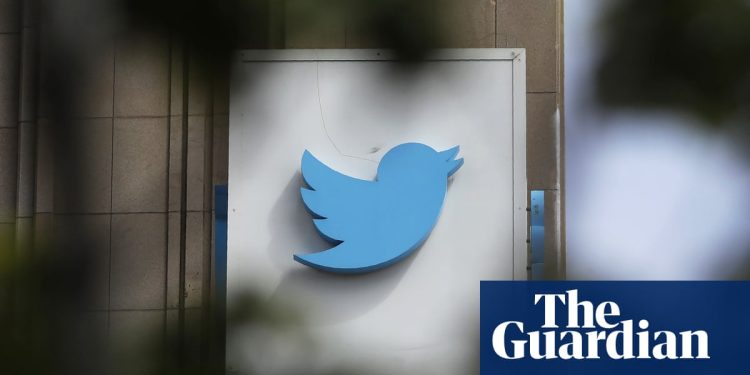 'so-vague,-it-invites-abuse':-how-twitter's-new-privacy-policy-helps-the-far-right-–-the-guardian