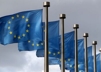 eu-should-ensure-tech-companies-are-regulated-in-the-country-they-are-based-in-–-bywire-news