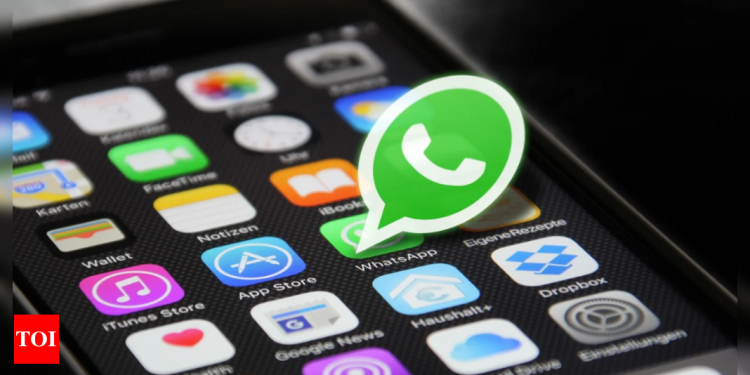 how-whatsapp-'changed'-in-2021:-new-features,-updates-and-more-–-times-of-india