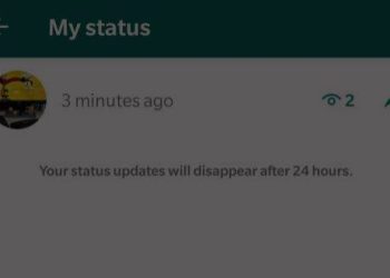 how-to-find-see-who-saw-your-status-on-whatsapp-–-bollyinside