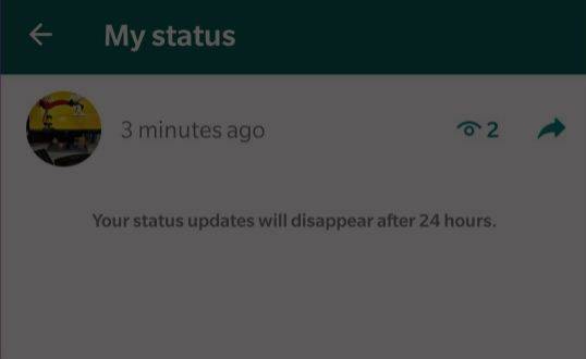 how-to-find-see-who-saw-your-status-on-whatsapp-–-bollyinside
