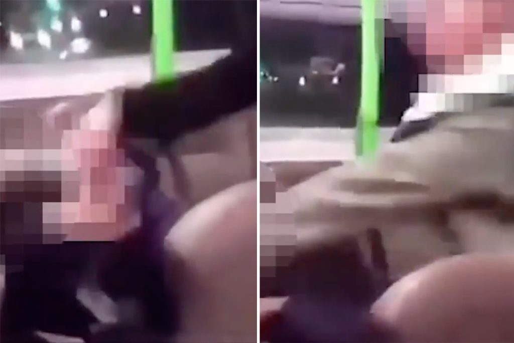 shocking-snapchat-video-captures-moment-teen-thugs-batter-girl-cowering-on-bus-as-she-…
