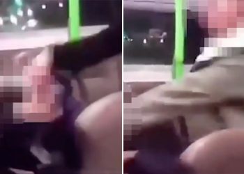 shocking-snapchat-video-captures-moment-teen-thugs-batter-girl-cowering-on-bus-as-she-…