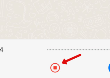 the-new-whatsapp-function-promises-to-help-the-most-perfect-people