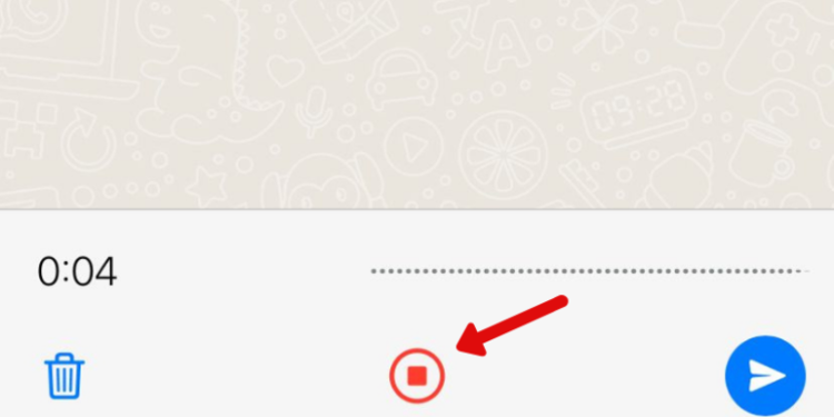 the-new-whatsapp-function-promises-to-help-the-most-perfect-people