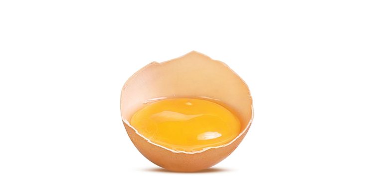 feeding-orange-maize-for-orange-yolks-–-all-about-feed