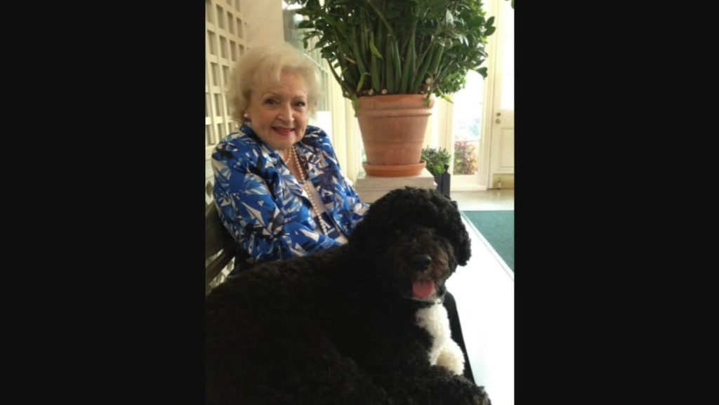 twitter-remembers-iconic-actor-betty-white-by-sharing-photos,-videos-|-trending-–-hindustan-times
