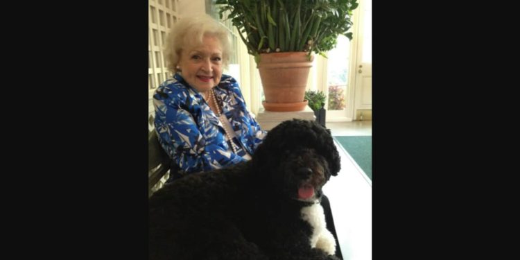 twitter-remembers-iconic-actor-betty-white-by-sharing-photos,-videos-|-trending-–-hindustan-times