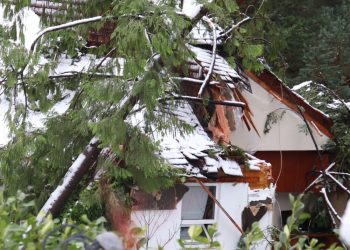 two-dead-after-tree-falls-on-house-in-horseshoe-bay-|-vancouver-sun