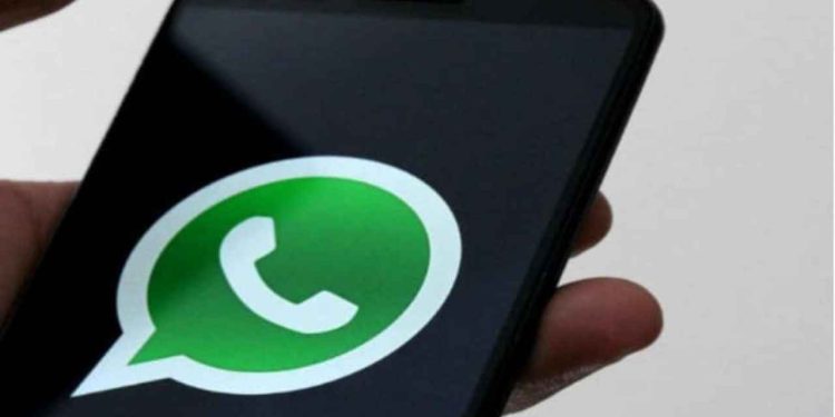 guide-to-use-whatsapp-in-hindi,-gujarati,-bengali-and-other-regional-languages-–-newsd