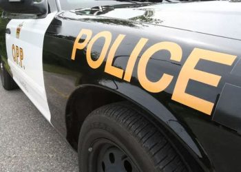 sault-woman-was-driving-stolen-vehicle:-opp