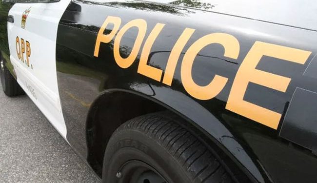 sault-woman-was-driving-stolen-vehicle:-opp