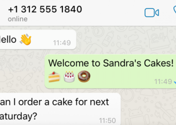 6-ways-to-get-the-most-out-of-whatsapp-business-|-the-goa-sportlight