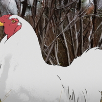 short-film:-seth-smith's-existential-animation-dust-bath-is-on-vimeo-–-screenanarchy