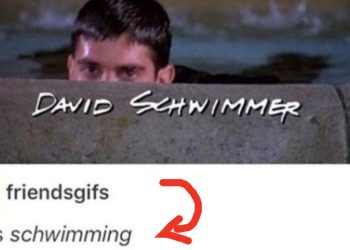 45-puns-that-make-me-laugh-uncontrollably-no-matter-how-many-times-i've-seen-them