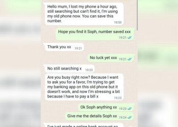 man's-clever-question-to-whatsapp-scammer-that-saved-him-900-–-liverpool-echo