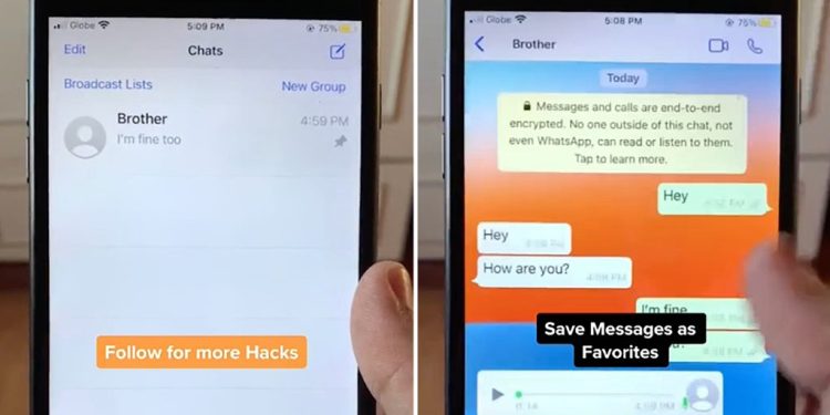 here-are-some-whatsapp-hacks-most-people-don't-know-about