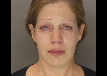 pa-woman-hit-son-in-head-with-metal-baseball-bat-in-facebook-video:-police-|-lebanon-…