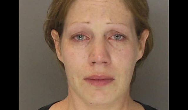 pa-woman-hit-son-in-head-with-metal-baseball-bat-in-facebook-video:-police-|-lebanon-…