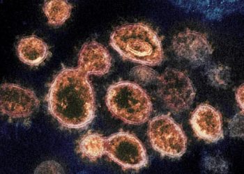 covid-may-remain-active,-transmissible-for-longer-than-recommended-quarantine-period